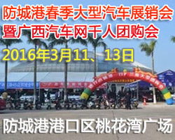 2016广西汽车网（防城港）千人团购车展